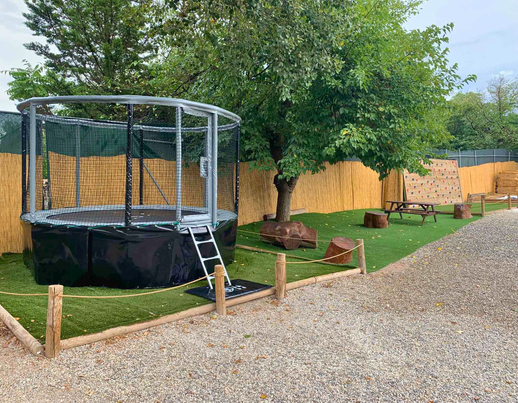Akrobat Gallus Plus Trampoline - Image 2